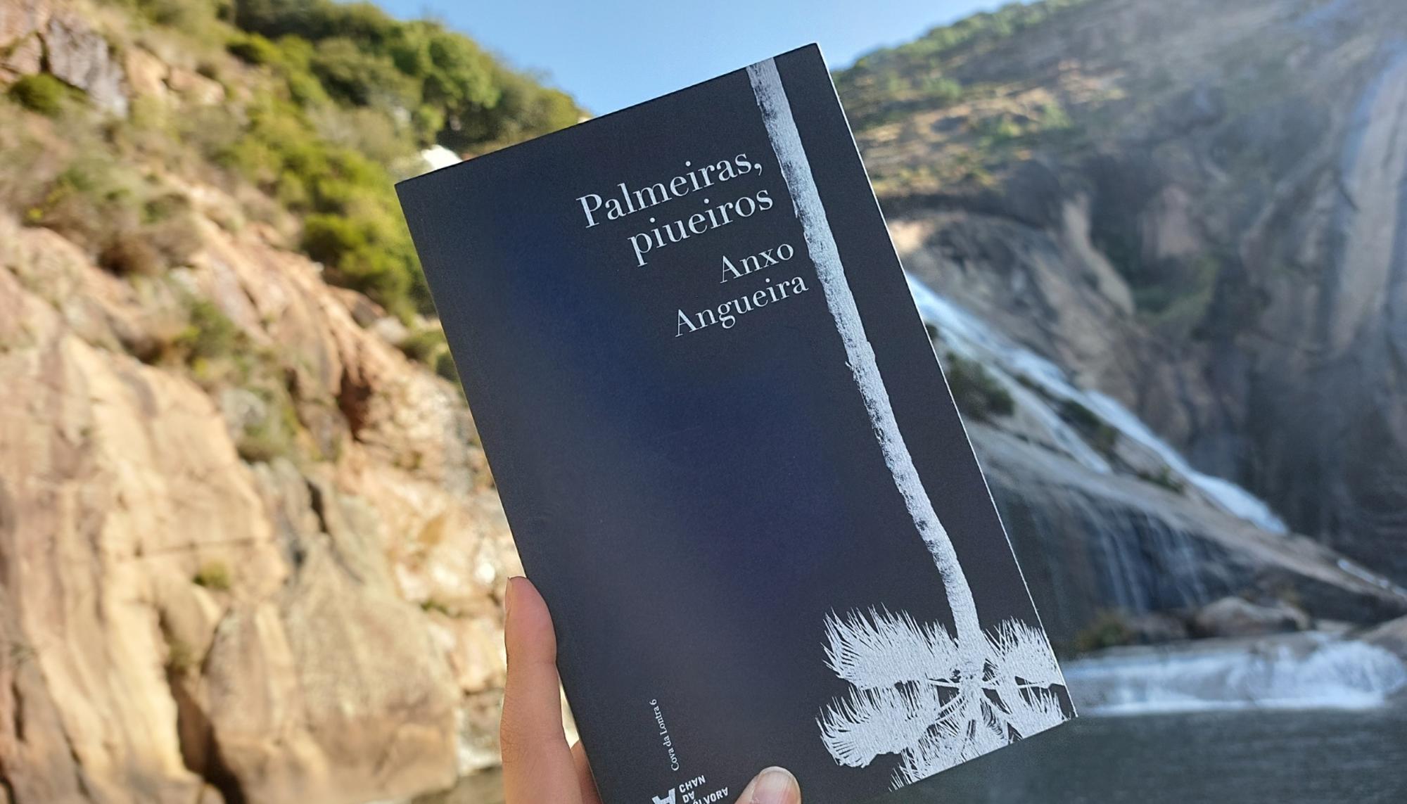 Palmeiras, piueiros Anxo Angueira